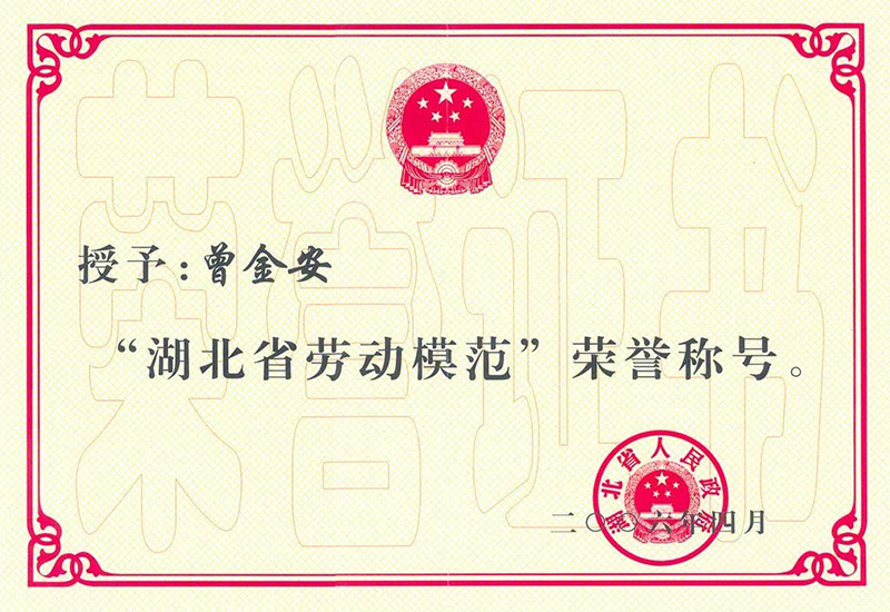 湖北省劳动模范（曾金安）